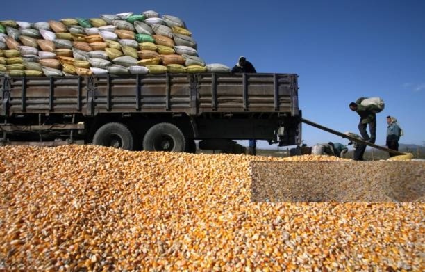 Agriculture & Commodities Transport